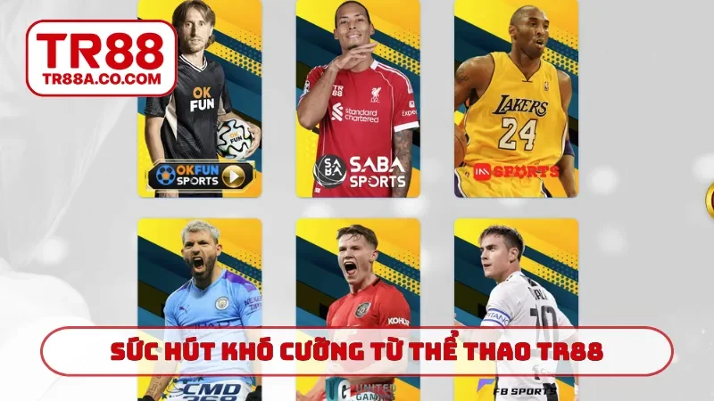 Sức hút khó cưỡng từ thể thao TR88 nóng bỏng